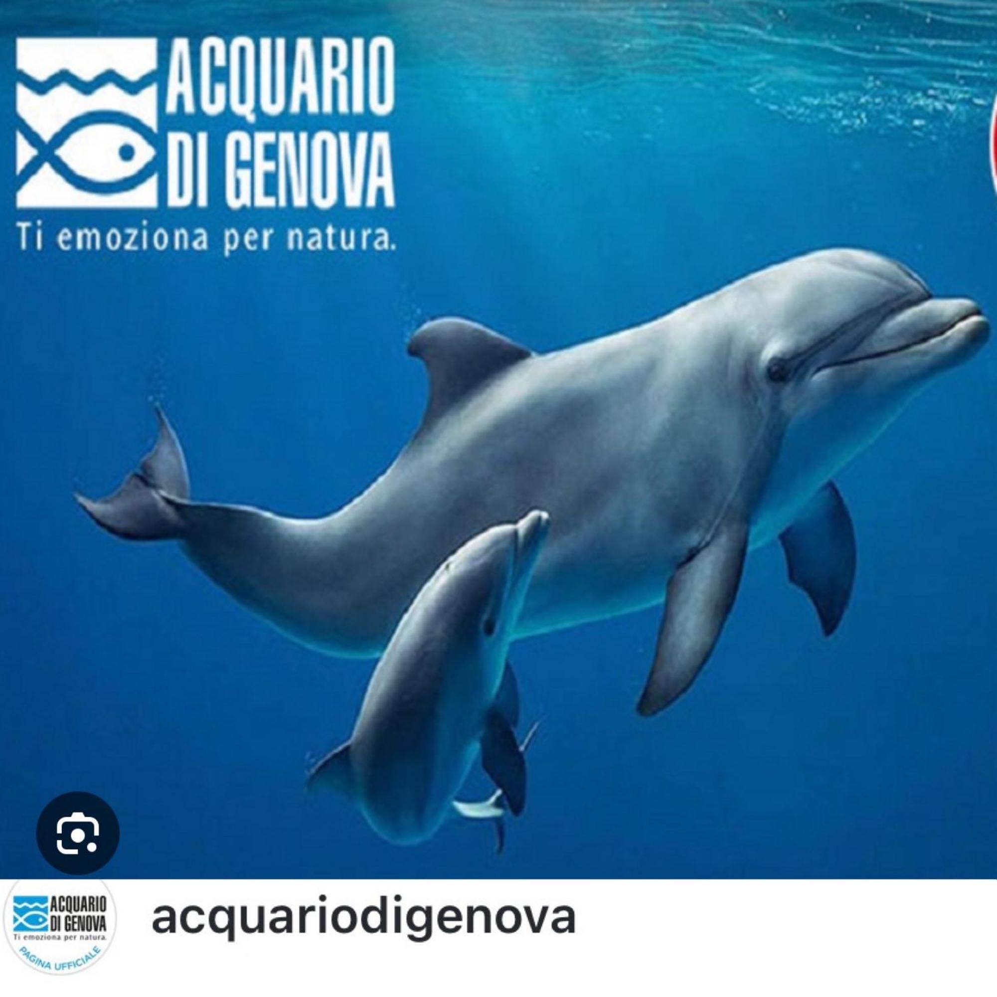 Casa Mia Sea&Center Villa Bogliasco Buitenkant foto